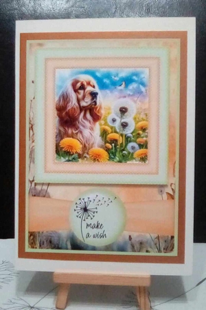 2 Make a wish pup card fronts 27 by Benita Jenkinson
