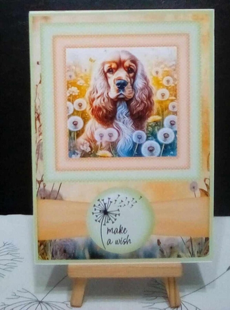 2 Make a wish pup card fronts 27 by Benita Jenkinson