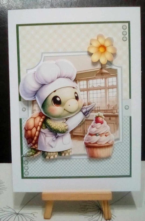 A Turtley Good Cook by Benita Jenkinson
