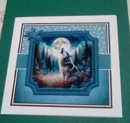 WOLVES  by Benita Jenkinson