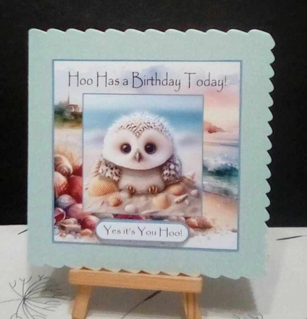Hoo Has a Birthday Today by Benita Jenkinson