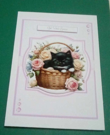 Gorgeous Cat Baskets by Benita Jenkinson