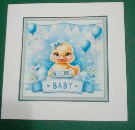 Baby duck 7x7 and toppers by Benita Jenkinson