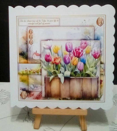 Tulips 5 by Benita Jenkinson
