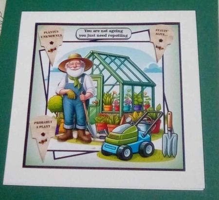 you need repotting by Benita Jenkinson