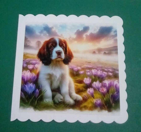 Misty Crocuse Meadow Pups 5 by Benita Jenkinson