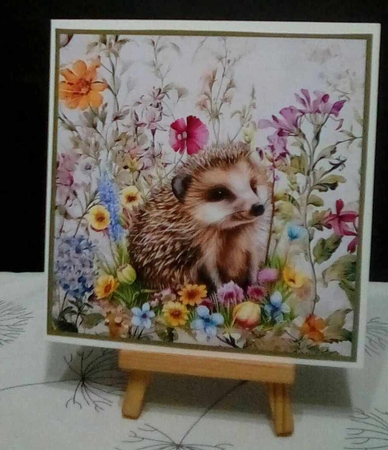 Cute Hedgehg by Benita Jenkinson