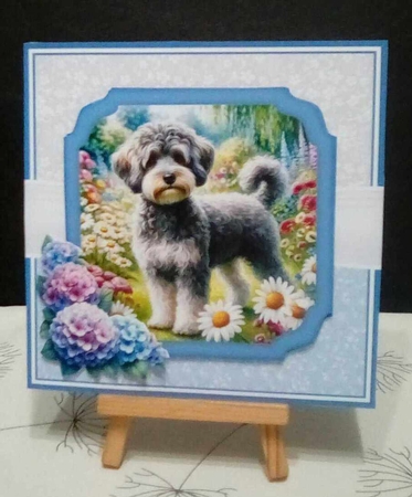 SCHNOODLES by Benita Jenkinson