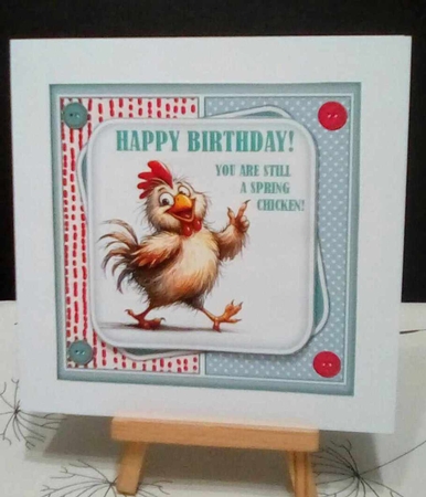 Spring Chicken  by Benita Jenkinson