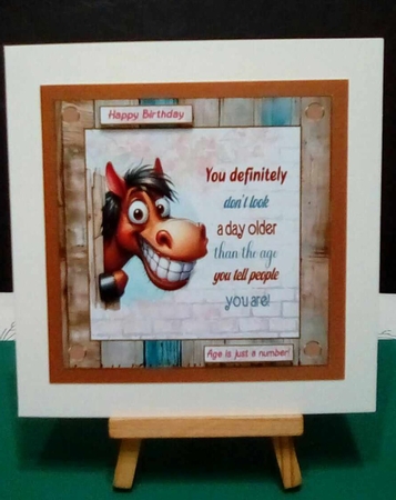 Fun horse 7x7ins decoupage topper by Benita Jenkinson