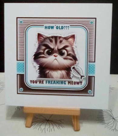 Freaking Meowt Mini Kit by Benita Jenkinson