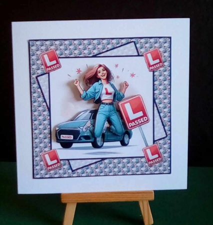 Going paces female 8x8  by Benita Jenkinson