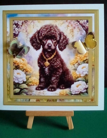 Floral Poodle puppy card front 7 by Benita Jenkinson
