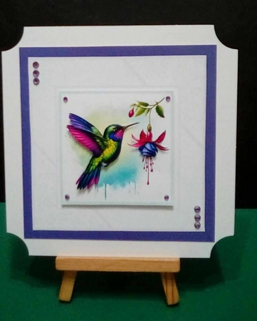 Beautiful Hummingbirds by Benita Jenkinson