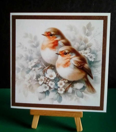 Aplle Blossom Robin  by Benita Jenkinson