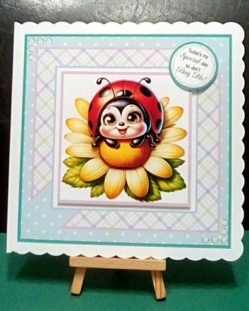 A Bugs Life by Benita Jenkinson
