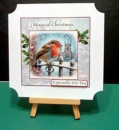 Red Red Robin Christmas by Benita Jenkinson