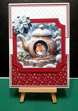 WINTER ROBIN HOUSE by Benita Jenkinson