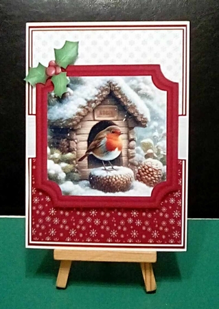 WINTER ROBIN HOUSE by Benita Jenkinson