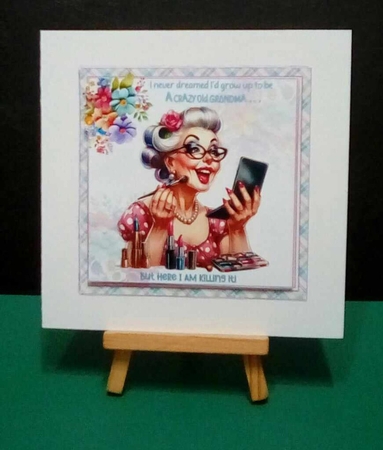 7x7 Crazy old grandma choice of four mini kit by Benita Jenkinson