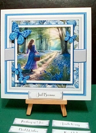 Bluebell Woods by Benita Jenkinson
