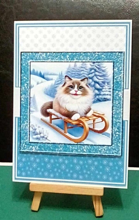 SNOW MUCH FUN CATS by Benita Jenkinson