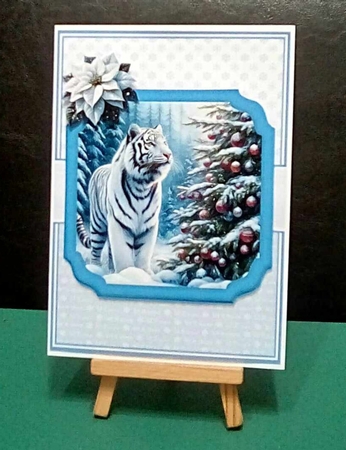 WINTER TIGERS by Benita Jenkinson
