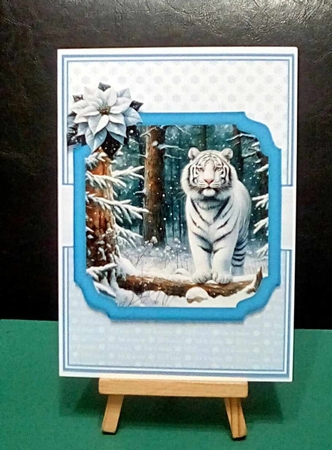 WINTER TIGERS by Benita Jenkinson