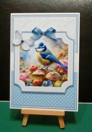 GARDEN BIRDS by Benita Jenkinson