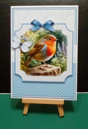 GARDEN BIRDS by Benita Jenkinson