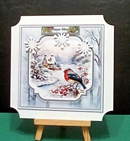 8x8 Christmas Winter Birds Mini Kit - x11 A4 Sheets  by Benita Jenkinson