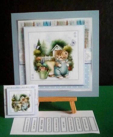 Cat and Mouse by Benita Jenkinson