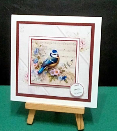  Beautiful Songbirds by Benita Jenkinson