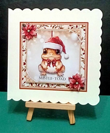 Mistle-toad by Benita Jenkinson
