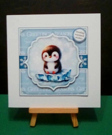 Little Penguin by Benita Jenkinson