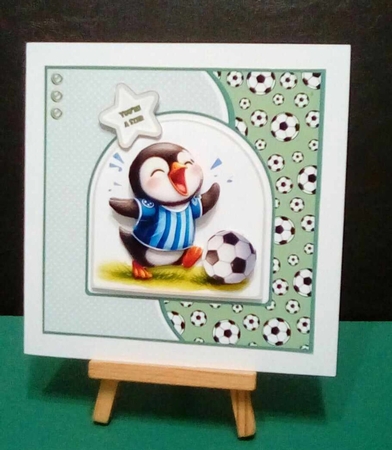 Animal Footy by Benita Jenkinson