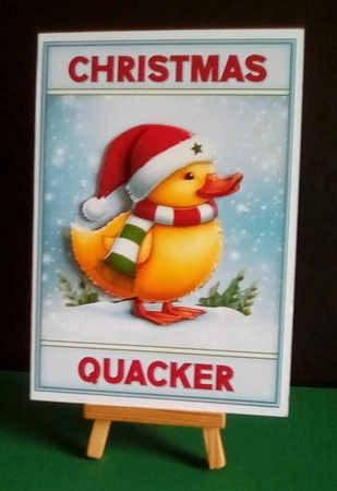 Christmas Quacker by Benita Jenkinson