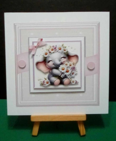 Oops a Daisy by Benita Jenkinson