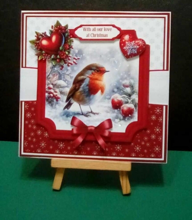 WHEN ROBINS APPEAR by Benita Jenkinson