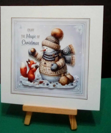 The fox and the snowman by Benita Jenkinson