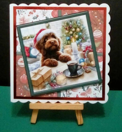 Christmas Cockerpoo by Benita Jenkinson