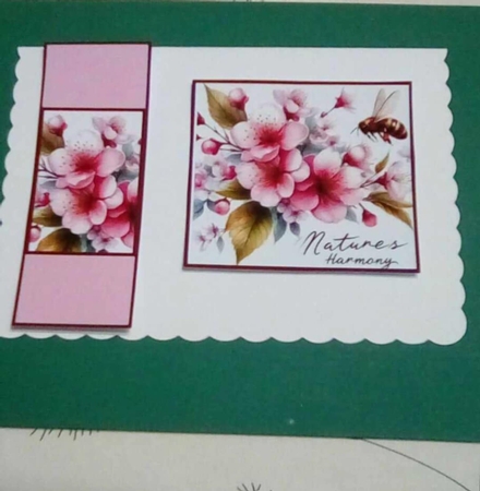 Cherry Blossoms by Benita Jenkinson