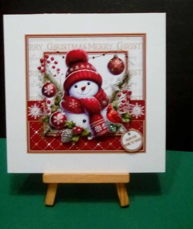 The Happy Snowman by Benita Jenkinson