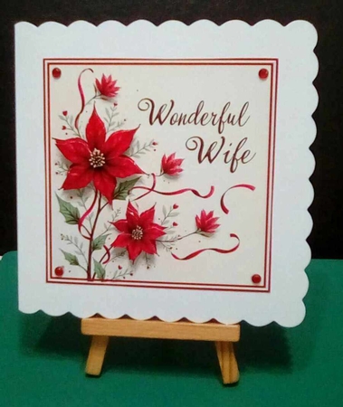 Wonderful Wife Poinsettia by Benita Jenkinson
