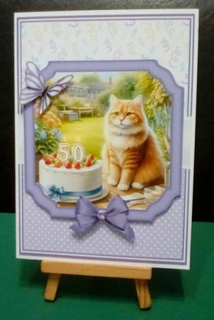 CATS - SPECIAL AGE BIRTHDAYS - 30, 40, 50 by Benita Jenkinson