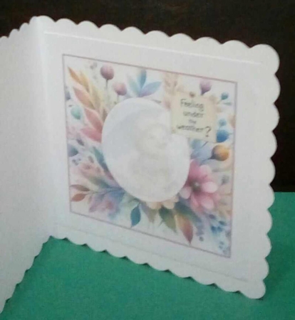 under the weather duck insert by Benita Jenkinson