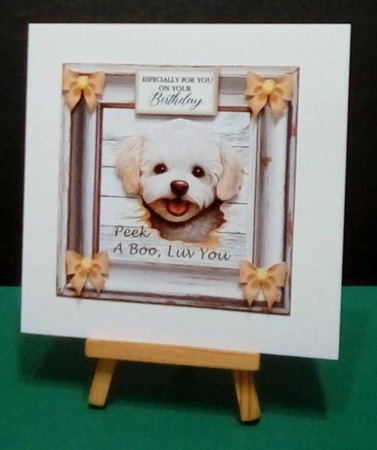 Bichon Frise Birthday 7 x 7 Card by Benita Jenkinson