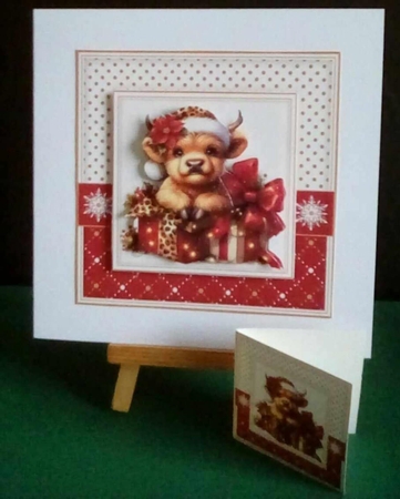 Christmas baby by Benita Jenkinson