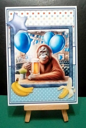 GO APE ON  YOUR BIRTHDAY by Benita Jenkinson