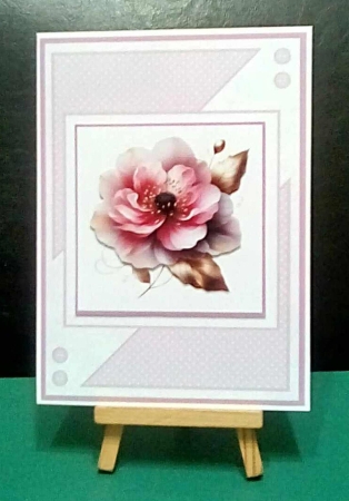 Abstract Anemones by Benita Jenkinson